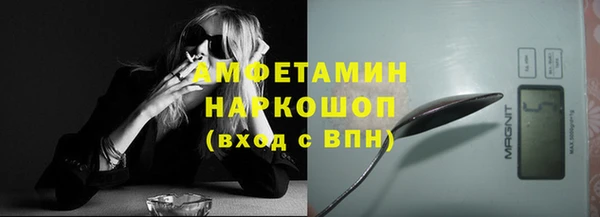 гидра Алексеевка
