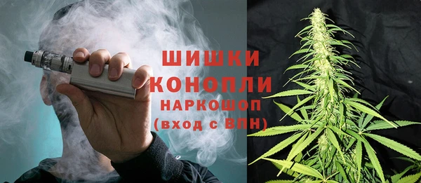 гидра Алексеевка